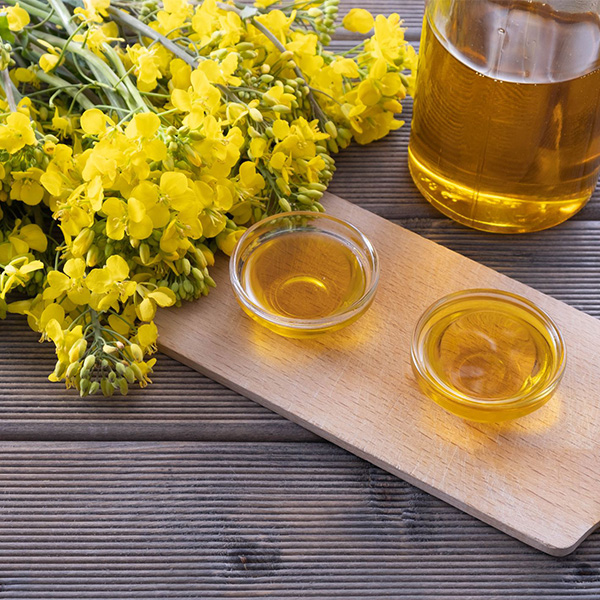 Canola Oil Wholesale | Canola Oil for Sale in Bulk