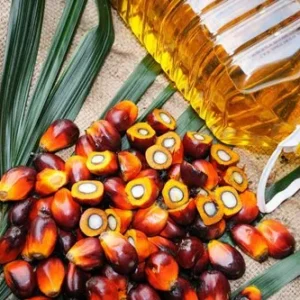 RBD Palm Oil Wholesale | RBD Palm Oil for Bulk Sale